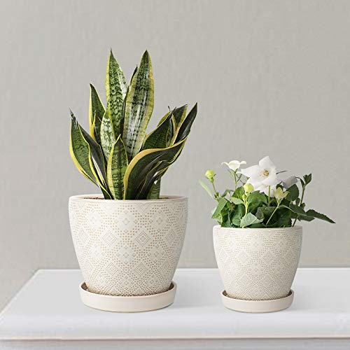 Docrin Flower Pots Plants Containers - 6.6 and 5.5 Inch Planter Po...