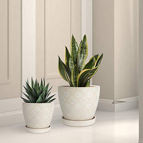 Docrin Flower Pots Plants Containers - 6.6 and 5.5 Inch Planter Po...