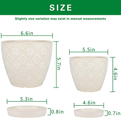 Docrin Flower Pots Plants Containers - 6.6 and 5.5 Inch Planter Po...