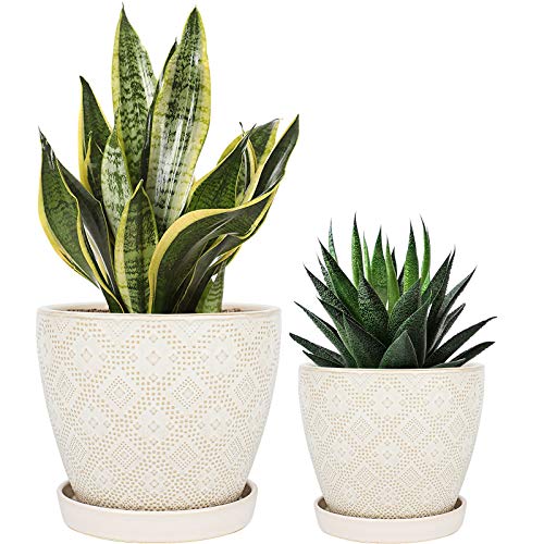 Docrin Flower Pots Plants Containers - 6.6 and 5.5 Inch Planter Po...