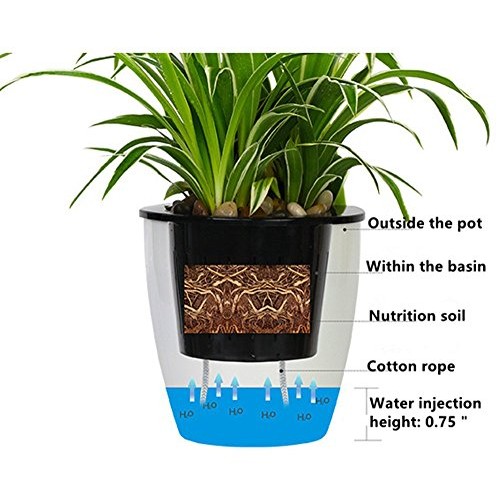 5 Pack Visible Water Level Flower pots,Water Plants Pots Self Wate...