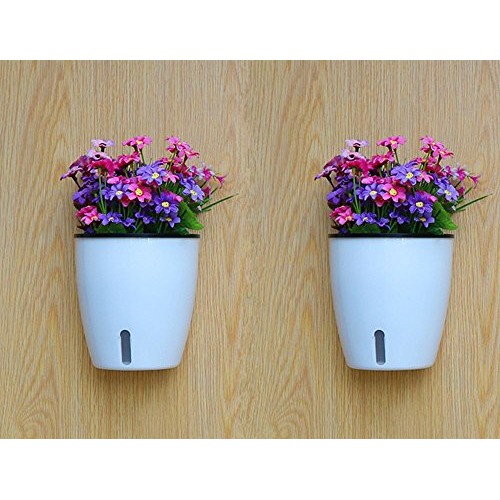 5 Pack Visible Water Level Flower pots,Water Plants Pots Self Wate...