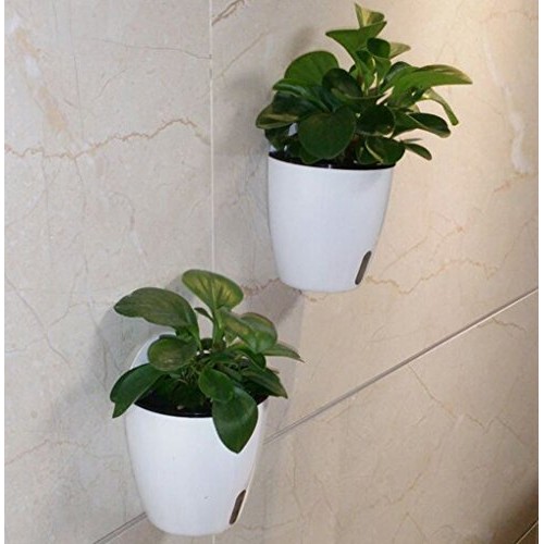 5 Pack Visible Water Level Flower pots,Water Plants Pots Self Wate...