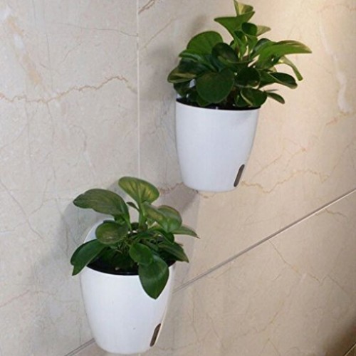 5 Pack Visible Water Level Flower pots,Water Plants Pots Self Wate...