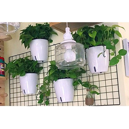 5 Pack Visible Water Level Flower pots,Water Plants Pots Self Wate...