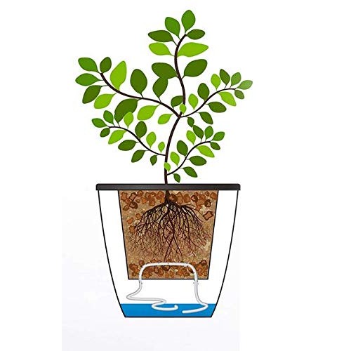 5 Pack Visible Water Level Flower pots,Water Plants Pots Self Wate...