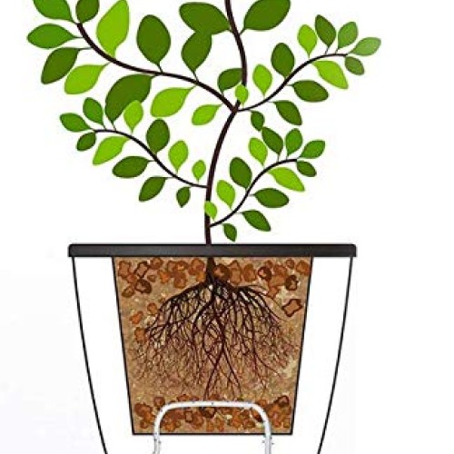 5 Pack Visible Water Level Flower pots,Water Plants Pots Self Wate...