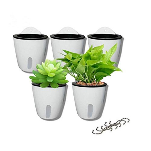 5 Pack Visible Water Level Flower pots,Water Plants Pots Self Wate...