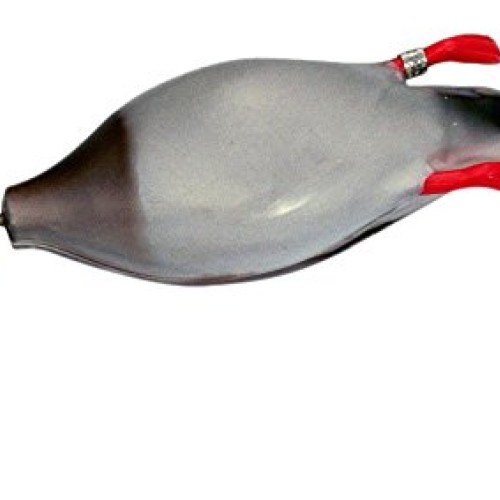 Dokken Mallard Dead Fowl