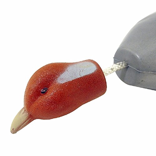 Hungarian Partridge Training Dummy Hunting Dog ~ P200 ~ Dokken New...