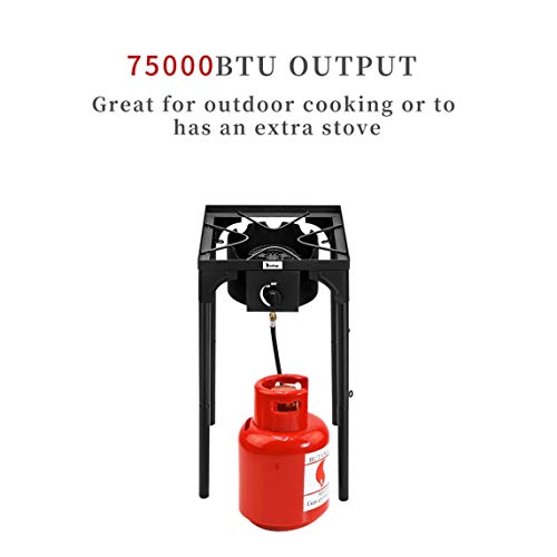DOLMER Outdoor Camp Stove High Pressure Propane Gas Cooker Portabl...