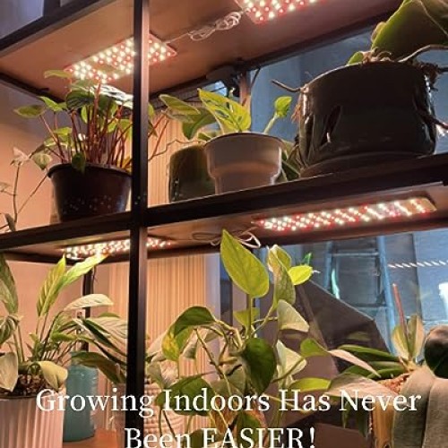 DOMMIA Grow Lights for Indoor Plants, 20W Full Spectrum Grow Light...