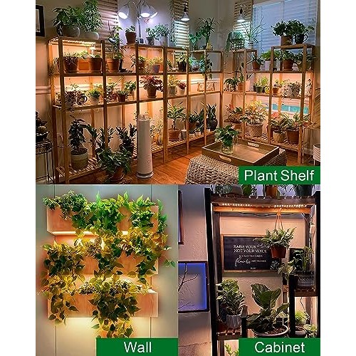 DOMMIA Grow Lights for Indoor Plants, 20W Full Spectrum Grow Light...