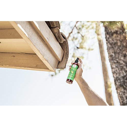 Donaldson Farms Carpenter Bee Repellent Spray, 8oz, All Natural Wo...