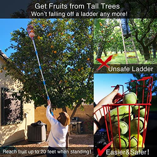 Fruit Picker Pole Tool with Basket Telescoping Long Handle, 35-65 ...