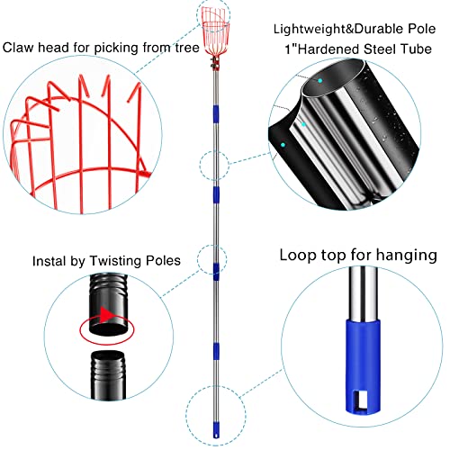 Fruit Picker Pole Tool with Basket Telescoping Long Handle, 35-65 ...