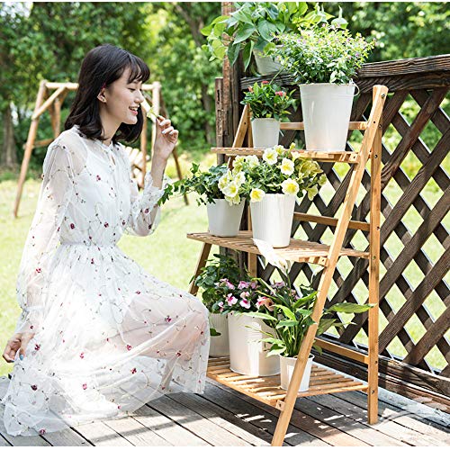 Doublelift Bamboo Plant Stand, 3-Tier Ladder Plant Stands, Foldabl...