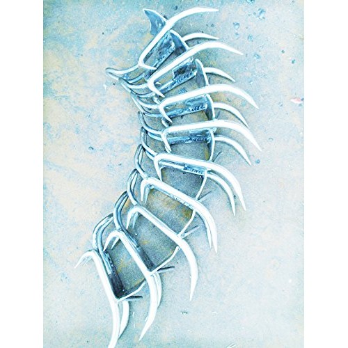 DUOSHIDA Pole Climbing Spikes, Tree Climbing Tool for Hunting Obse...