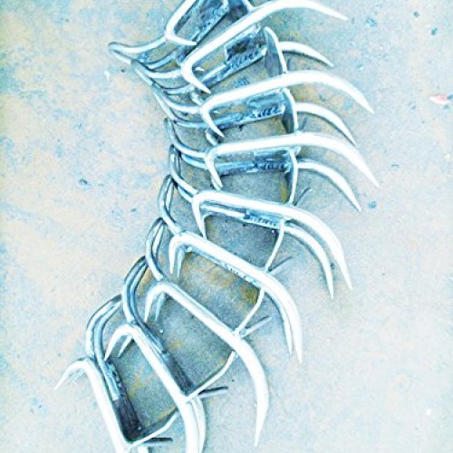 DUOSHIDA Pole Climbing Spikes, Tree Climbing Tool for Hunting Obse...