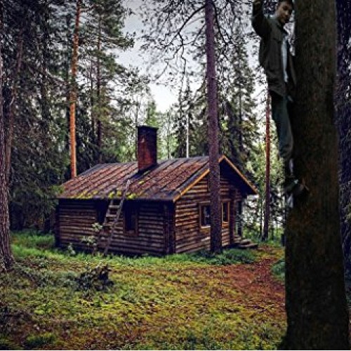 DUOSHIDA Pole Climbing Spikes, Tree Climbing Tool for Hunting Obse...