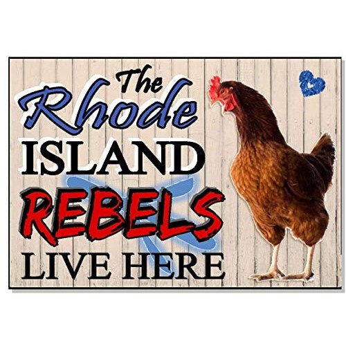 Dozili The Rhode Island Red Rebels Live Here Funny Acrylic Weather...