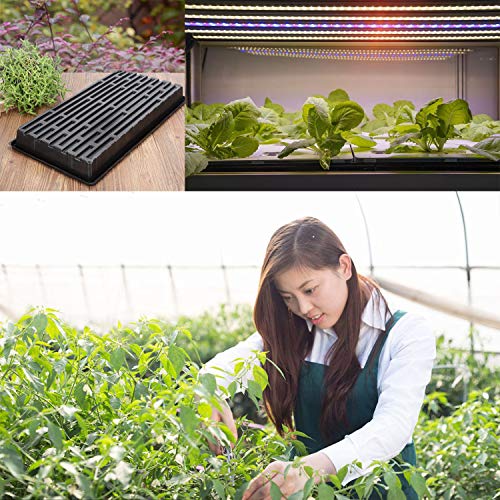 Heavy Duty Trays 5 Pack of Oversized Plant Germination Trays Durab...