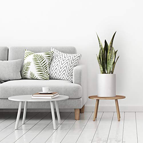 Mid Century Planter with Stand Included | 8 Inch Ceramic Plant Pot...