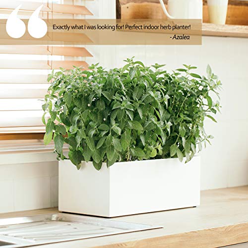 Modern Rectangle Planter Box - 16 Metal Trough Planter Ideal as a...