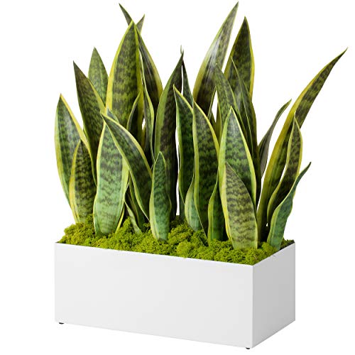 Modern Rectangle Planter Box - 16 Metal Trough Planter Ideal as a...