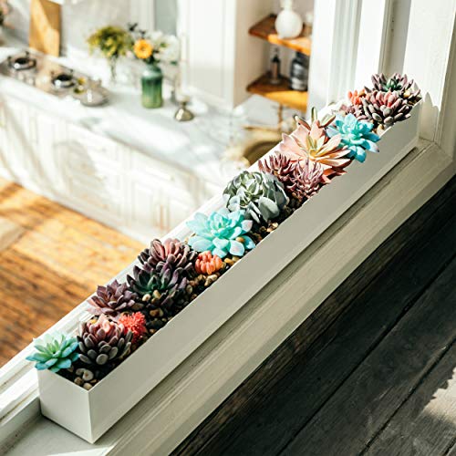 Modern Rectangle Planter Box - 32 Metal Planter Ideal as a Long S...