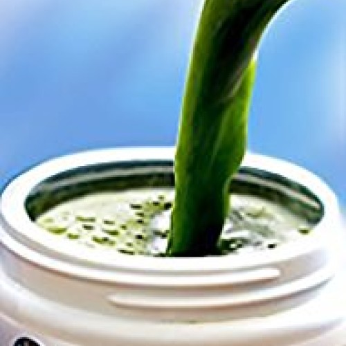 Natural Lemon Flavored Wheat Grass Powder with KamutTM -Raw & Ultr...