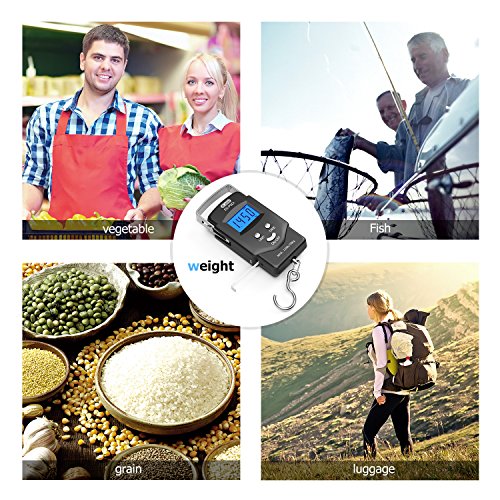 Fish Scale, Dr.meter Backlit LCD Display 110lb/50kg PS01 Fishing S...