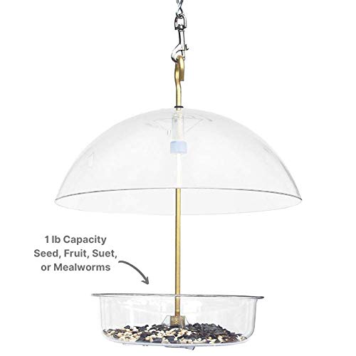Droll Yankees Seed Saver Platform Feeder, Birdseed, Fruit, Suet, o...