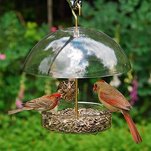 Droll Yankees Seed Saver Platform Feeder, Birdseed, Fruit, Suet, o...
