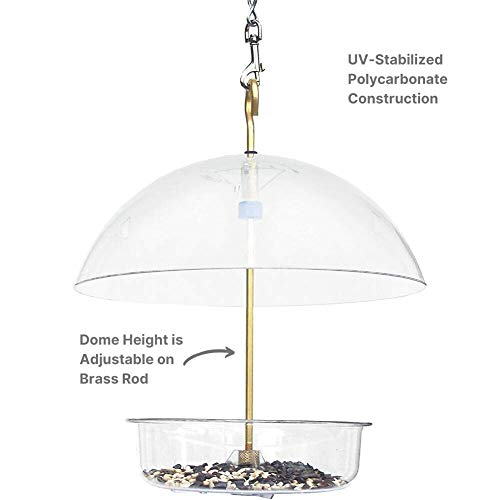 Droll Yankees Seed Saver Platform Feeder, Birdseed, Fruit, Suet, o...