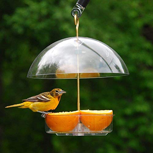Droll Yankees Seed Saver Platform Feeder, Birdseed, Fruit, Suet, o...