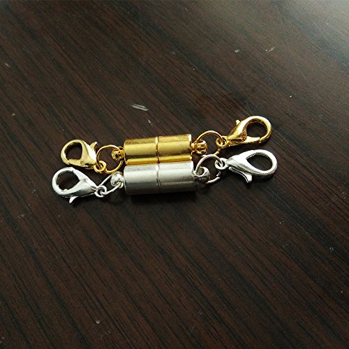 Dsmile Pack of 12pcs Gold Color and Silver Color Magnetic Lobster ...