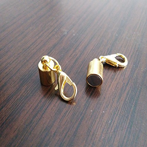 Dsmile Pack of 12pcs Gold Color and Silver Color Magnetic Lobster ...