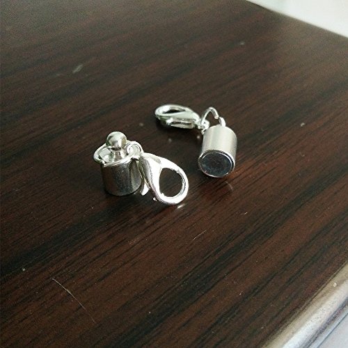 Dsmile Pack of 12pcs Gold Color and Silver Color Magnetic Lobster ...