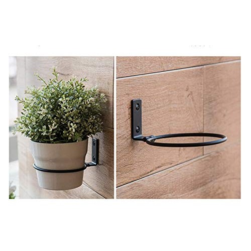 Dtacke 3pcs 4 inch Wall Planter Hook Wall Planter Flower Pot Holde...