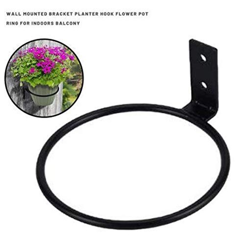 Dtacke 3pcs 4 inch Wall Planter Hook Wall Planter Flower Pot Holde...