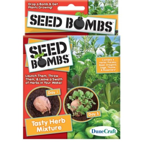 Dune Craft Seed Bombs 6/pkg-tasty Herb Mix