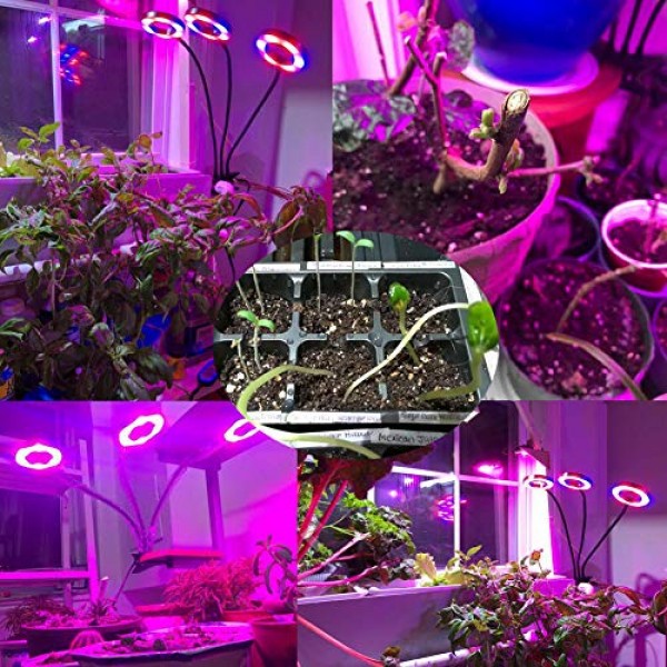 Professional Grow Light, 36W LED Full Spectrum Plant Light for Ind...