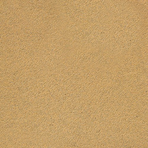 Dura-Gold - Premium - 80 Grit Gold - Longboard Continuous Roll 20 ...