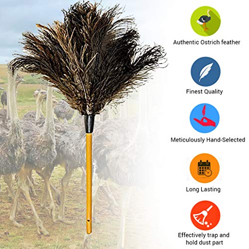 Dusters Killer Ostrich Feather Dusters MB03, 28 L, Large
