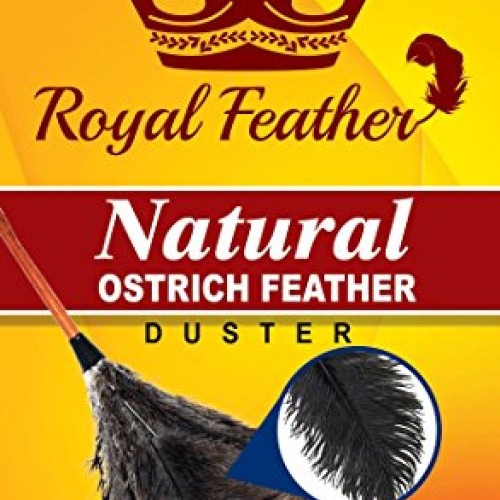 GM Ostrich Feather Duster Mini Duster 14 Black