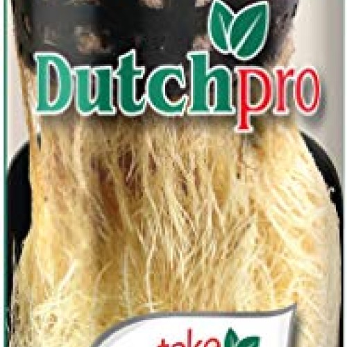 Dutchpro Nutrients Take Root: Root Stimulator for Huge Root Mass |...