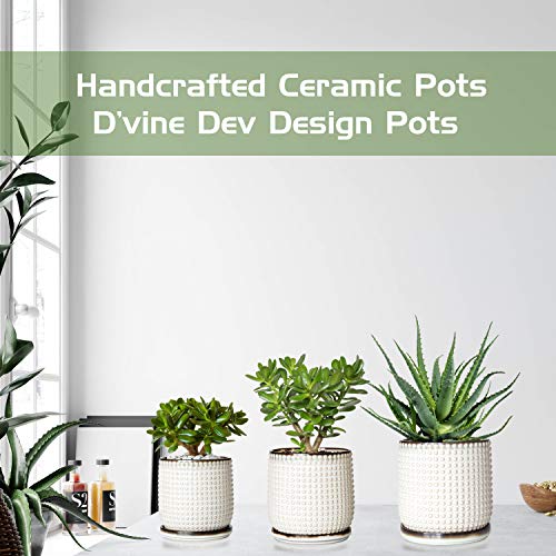 6 Inch Beaded Stoneware Planter Pot with Drainage Hole and Saucer,...