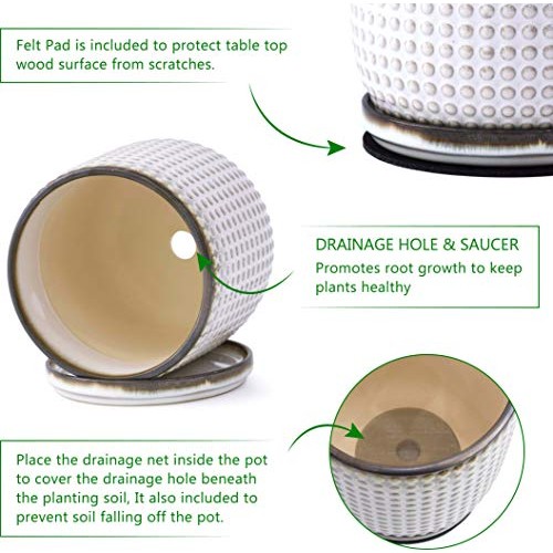 6 Inch Beaded Stoneware Planter Pot with Drainage Hole and Saucer,...