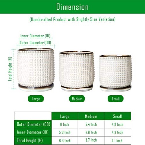 6 Inch Beaded Stoneware Planter Pot with Drainage Hole and Saucer,...